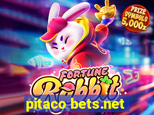 pitaco bets.net